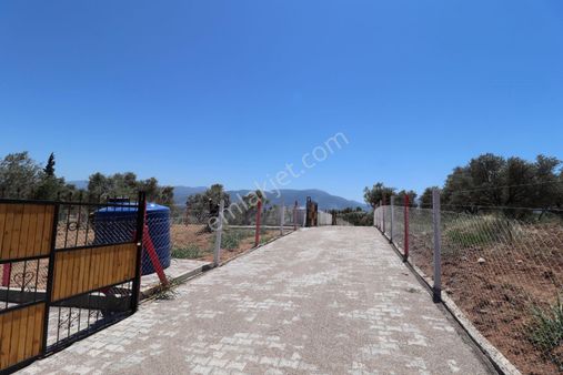 Kemalpaşa Çambel Satılık Bahçe 1.528 M2