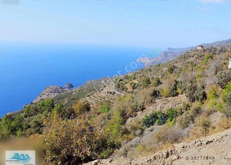 Gazipaşa Satılık Arsa Deniz Manzaralı Zeytinada 2.500 M2