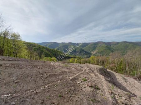 Kocaeli Gölcük Lütfiye Mahallesi. Satılık 2094 M² % 5 Tarla Vasıflı Arazi