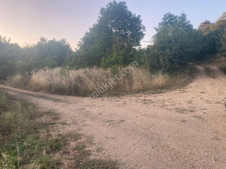 Turyap' Tan Bilecik Gölpazarı Hamidiye'de Müstakil Tapulu Satılık Arsa