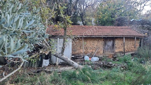 Selda Kozalı'dan Kuyucak Mahallesi Bahçeli Müstakil Köy Ev Satılık