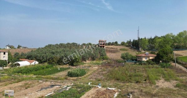 Yalova Termal Akköyde Satılık Parsel