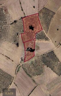 İlkim Gayrimenkulden Gönen Havutça Köyünde Satılık Tarla