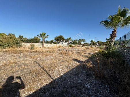 Seydikemer Döğer'de Satılık Taş Duvarla Çevrilmiş Tarla