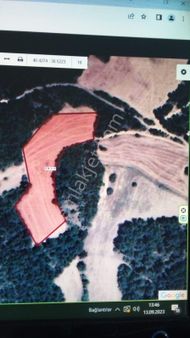 Taraklı Avdan Mah.si Orman İçinde Yatırımlık 6.262 M. Arazi