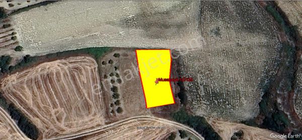 Musabeylide Yatırımlık 888 M2 Arazi