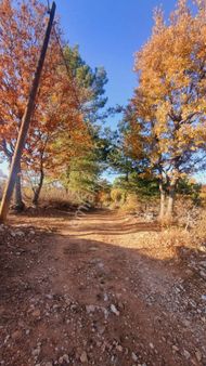 Selda Kozalı'dan Menteşe Kuyucak'ta Satılık Arsa