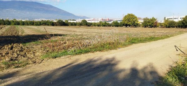 E.m.a Emlak Gayrimenkul İnegöl Yeniceköyde Satılık 6300 M2 Tarla