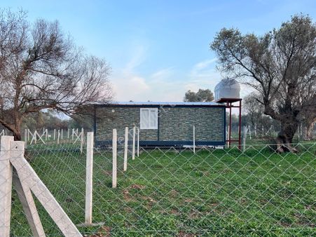 Derekoy 202m² Bahçe