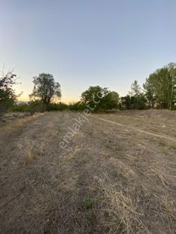 Hobi Bahçem Olsun Köye Yakın Olsun Yolu İzi Olsun Suyu Olsun Diyedene Gökçebağda Fırsat Arazi