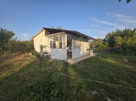 Cm Emlaktan, Eski Gümüş Toy Tepesi Satılık Evli Bahçe