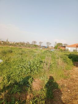 Manisa Salihli Yakın Köy Satılık Hobi Bahçesi