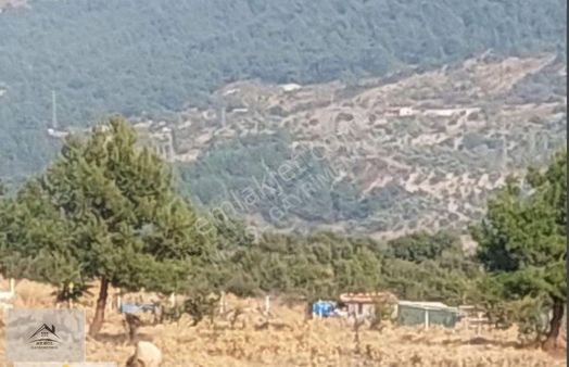 Bornova Karaçam'da Satılık Arsa !pazarlıklı!