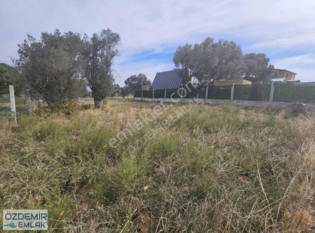 Özdemir Emlaktan Asatılık 480 M2 Bahçe