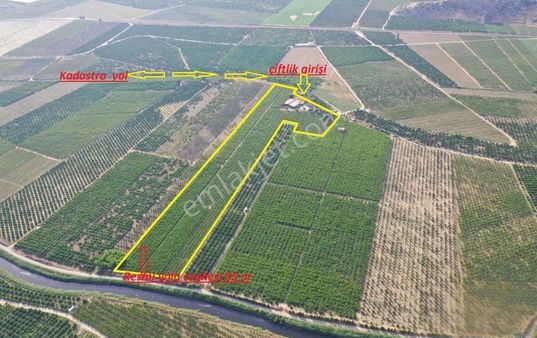 Günay Emlak'tan İzmir Selçuk'ta 50 Dönüm Satılık Besi Çifliği Şeftali Tarlası