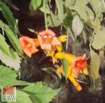 Ayaşta Hobi Bahçesi