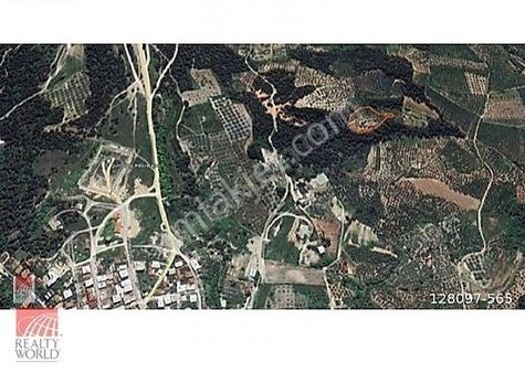 Bursa Osmangazi Gündoğdu Mahallesinde Satılık 4255 M2 Zeytinlik