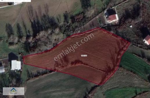 Gebze'nin Örnek Köyü Kargalı İçinde %50 Bölümü Konut İmarlı Araz