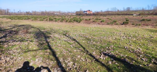 Samsun Terme Yenicamide Hayvan Ciftligi Ve Genis Arazi Satikikdir