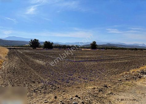 Denizli Bozkurt Alikurt Eski Yola Sıfır 11.dönüm Sulama Vardır