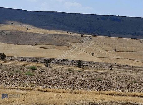 Ygc-erkilet Boyacı'da Ekim Dikime Uygun 3330 M2 Takaslı Tarla