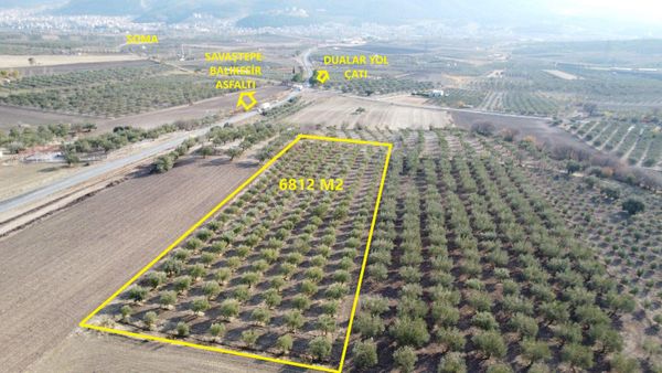 Manisa Soma Dualar Köyü Yol Çatı 6812m2