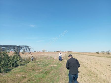 Acil Kelepir Fiyatı