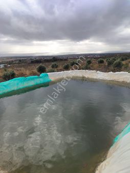 Satılık Full Deniz Manzaralı Cevizlik Tarla