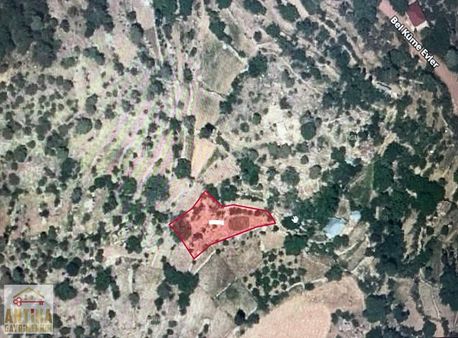 Antika Gayrimenkul'den Ballık Mahallesin'de 981 M² Satılık Tarla