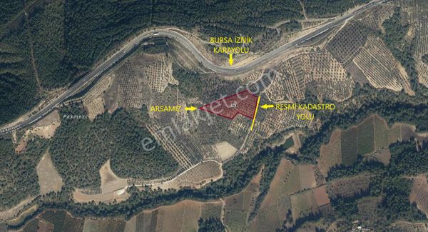 Mert Gayrimenkul'den Pamukova Mekece Mahallesi'nde Bakımlı Zeytin Bahçesi