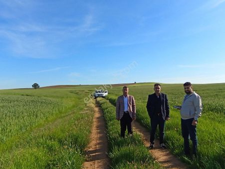 Kırklareli Pehlivanköy Kumköy'de Satılık Kelepir Tarla