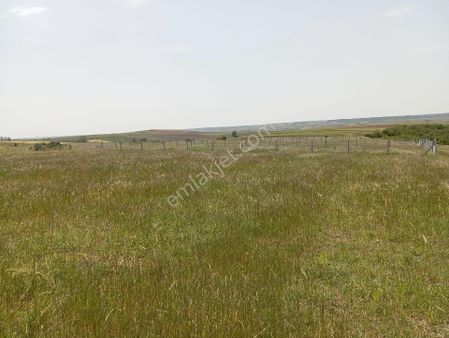 Bundan Daha Ucuzu Yok