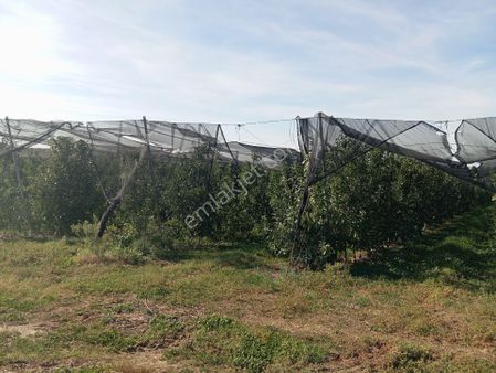 Hayrabolu'da Satılık Kelepir Tarla Tek Tapu