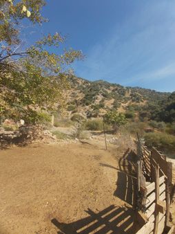 Aydın İncirliova Ömerbeyli Satılık Köyiçi Satılık Müstakil Ev