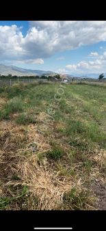 Acil Biliceli Gayrimenkul Den İzmir Menemen Türkerli Yıldırım Mh Sinde 746m²satılık Tarla