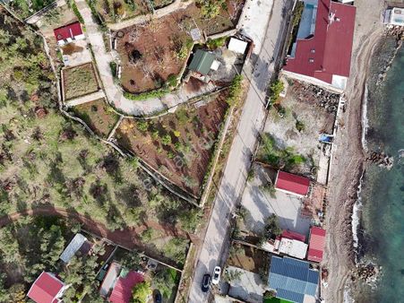 Assos Yolu Satılık Arazi / Avacık Sazlı / Yol Cepheli