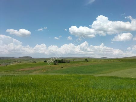 Çakır'dan Kupon Arsa Ve Tarlalar
