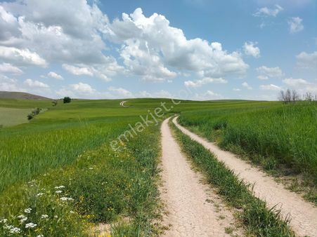 Her Bütçeye Uygun Yatırımlık Fırsat Arsalar