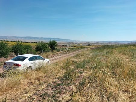 Kupon Arsa Ve Tarlalar