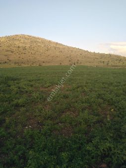 Ankara Çubuk Tahtayazı Mahallesin’de Satılık Tarla