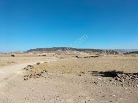 Güneyce Mah Satılık Arsa Ve Tarlalar
