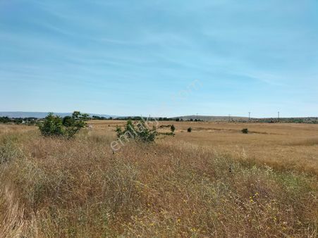 Çakır'dan Güneyce'de Araç Takaslı Tapulu Arsa Ve Tarlalar