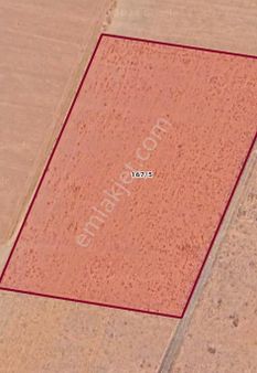 Çumra Kuzucu Mahallesi'nde Satılık Tarla