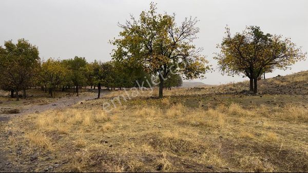 Çakırdan Yatırımlık Fırsat Arsalar