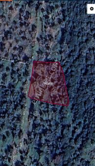 Fırsat!! Yatırıma Uygun Zeytinlik