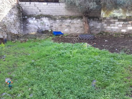 Milas Bafa Mah De Satılık Kargı Ev Ve Avlu