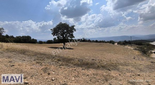 Remax-mavi Den Göynük Taraklı Sınırında 11,300 M² Tarla.