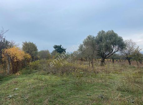 Menderes Görece Mahallesin'de Satılık Tarla