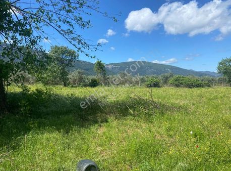 Menderes Değirmendere'de Satılık Tek Tapu Tarla