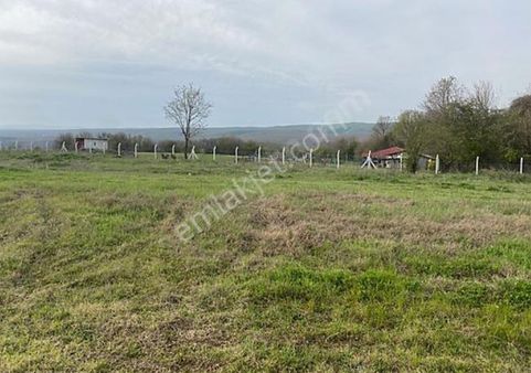 Kırklareli Kışlacık'ta Satılık Kupon Tarla – İmar Sınırında, Tek Tapu!